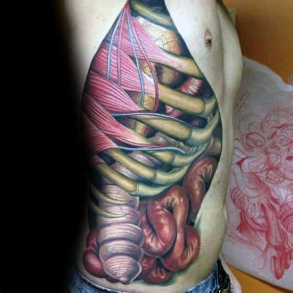 anatomical tattoos