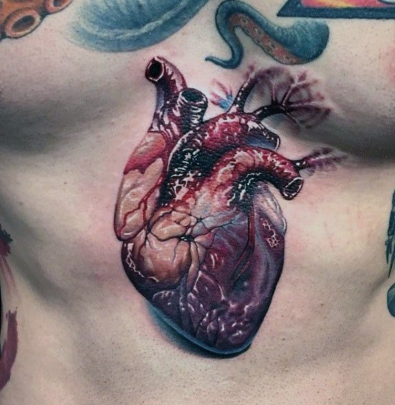 anatomical tattoo